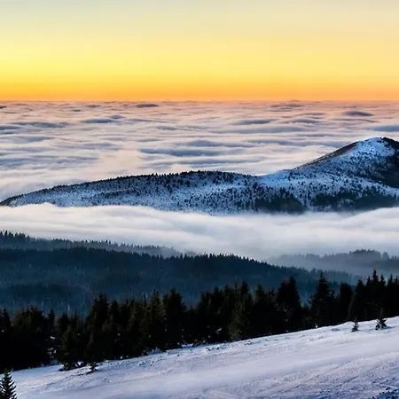 Premier 32 Milmari * كوباونيك