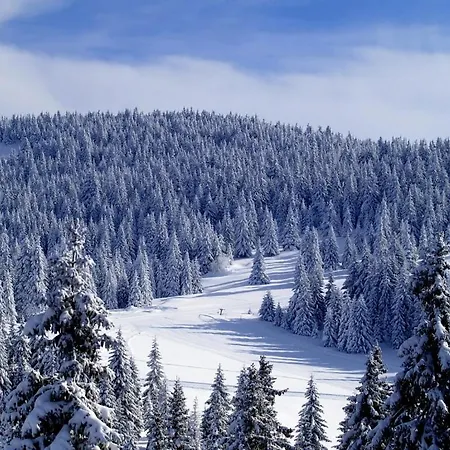 Premier 32 Milmari * Kopaonik