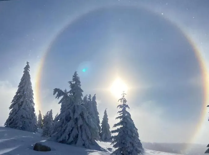 Premier 32 Milmari Kopaonik