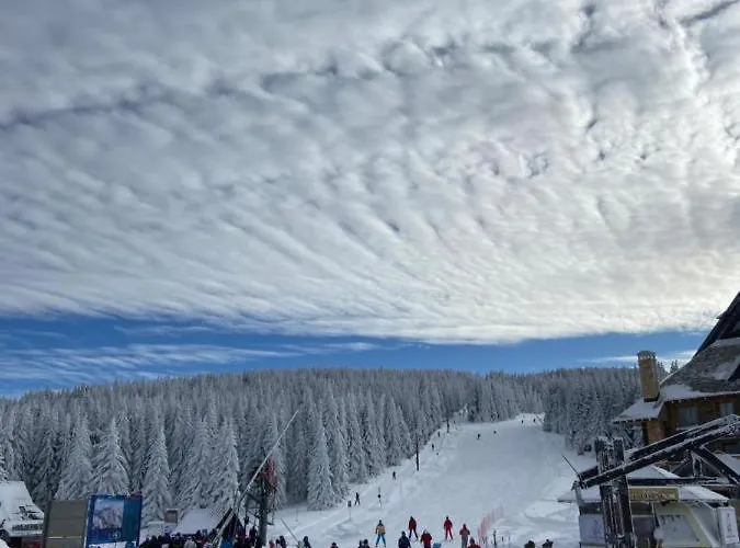 Daire Premier 32 Milmari Kopaonik