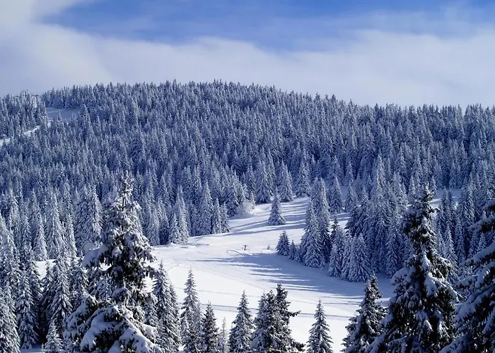 Premier 32 Milmari * Kopaonik