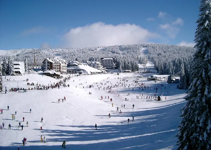 Premier 32 Milmari Daire *